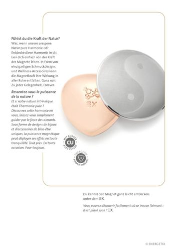 Journal 3-25 08-DEFR copyright-ENERGETIX