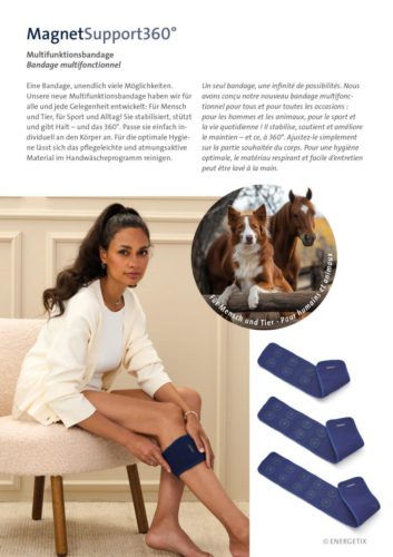 Journal 3-25 12-DEFR copyright-ENERGETIX