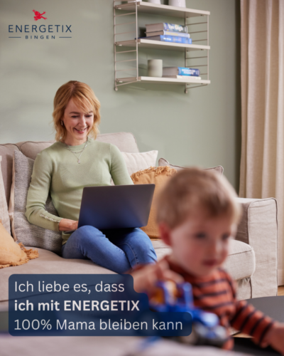 ENERGETIX-Geschaeftsidee-Argument-22