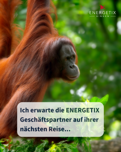 ENERGETIX-Geschaeftsidee-Argument-23