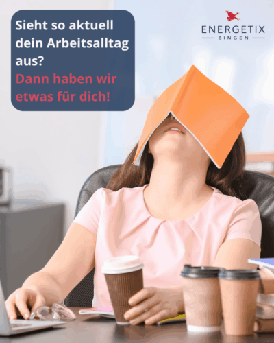 ENERGETIX-Geschaeftsidee-Argument-24
