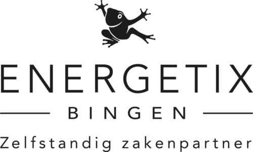 copyright ENERGETIX GP Logo schwarz NL