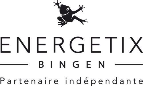 copyright ENERGETIX GPin Logo schwarz FR